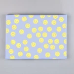 Χαρτί Περιτυλίγματος KunstAnPapier - Smiley Leni - Image 2