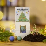 Μπάλες σπόρων λουλουδιών