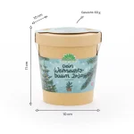 Christmas Tree γλαστράκι - Image 4